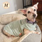 Cute Green Stripe Dog T-shirts – 2 Pack