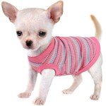 Comfy Cotton Shirt for Small Dogs