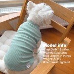 Cute Green Stripe Dog T-shirts – 2 Pack