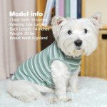 Cute Green Stripe Dog T-shirts – 2 Pack