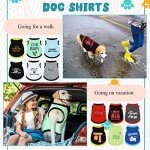 Funny Pet T-Shirts for Dogs and Cats - 12 Styles