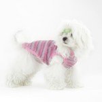 Comfy Cotton Shirt for Small Dogs
