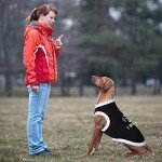 Funny Pet T-Shirts for Dogs and Cats - 12 Styles