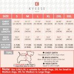 Dog Sweater Set: Cozy Turtleneck Pullover for Small Dogs