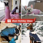 Dog Sweater Set: Cozy Turtleneck Pullover for Small Dogs
