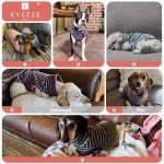 Dog Sweater Set: Cozy Turtleneck Pullover for Small Dogs