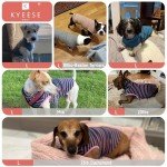 Dog Sweater Set: Cozy Turtleneck Pullover for Small Dogs