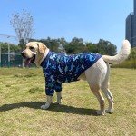 Funny Dinosaur Print T-Shirt for Large Dogs