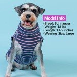 Dog Sweater Set: Cozy Turtleneck Pullover for Small Dogs