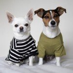 Color Block Striped Dog T-Shirt 3-Pack