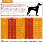 Colorful Dog T-Shirts: Cool & Breathable Vests