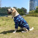 Navy Dinosaur Print Pajamas for Large Dogs
