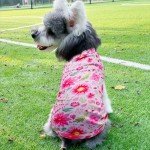 4 Pack Cute Paw Print Dog T-Shirts