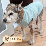 Stylish Dog T-Shirts for Small Dogs - 2 Pack