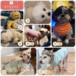 Stylish Dog T-Shirts for Small Dogs - 2 Pack