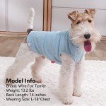 Stylish Dog T-Shirts for Small Dogs - 2 Pack