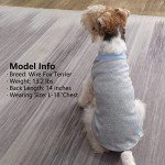 Stylish Dog T-Shirts for Small Dogs - 2 Pack