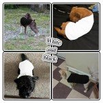 2 Pack Colorful Dog T-Shirts for All Seasons