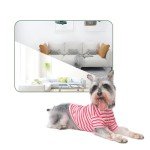 Cute Pink Stripe Dog T-Shirt for Small Dogs