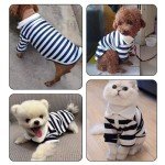 Cute Polo Shirt for Small Dogs & Cats