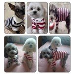Cute Polo Shirt for Small Dogs & Cats
