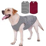 Cute Cotton Striped Dog and Cat T-Shirt