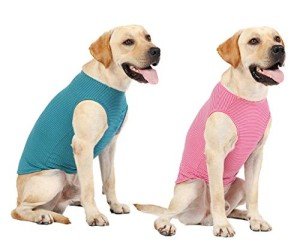 Striped Cotton Dog T-Shirt for Summer Fun