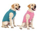 Striped Cotton Dog T-Shirt for Summer Fun