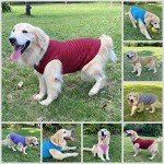 Cute Cotton Striped Dog and Cat T-Shirt