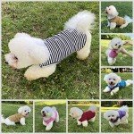 Cute Cotton Striped Dog and Cat T-Shirt