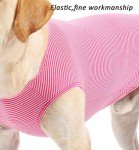 Striped Cotton Dog T-Shirt for Summer Fun