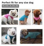 Striped Cotton Dog T-Shirt for Summer Fun