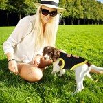 12 Funny Dog Shirts for Summer Fun