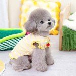 Cute Cherry Dog T-Shirts for Small Pets