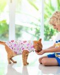 Cute Paw Print T-Shirts for Small Dogs