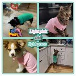 Dog T-Shirt 2 Pack - Lightweight & Breathable