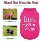 Little Miss Sassy Dog T-Shirt in Rose Red