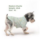 Cute Green Stripe Tee for Small Dogs