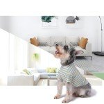 Cute Green Stripe Tee for Small Dogs