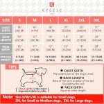 2 Pack Quick-Dry Reflective Dog T-Shirts