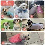 2 Pack Quick-Dry Reflective Dog T-Shirts