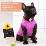 2 Pack Quick-Dry Reflective Dog T-Shirts