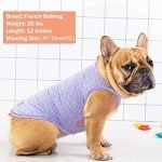 2 Pack Quick-Dry Reflective Dog T-Shirts