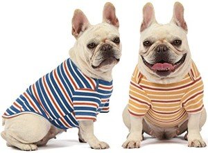 Cute Striped Cotton Dog T-Shirts, 2-Pack