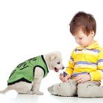 Funny Summer Dog Shirts - 8 Pack