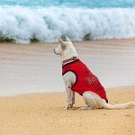Funny Summer Dog Shirts - 8 Pack