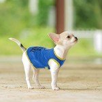 Funny Summer Dog Shirts - 8 Pack