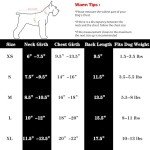 2 Pack Lightweight Dog T-Shirts - Black & White
