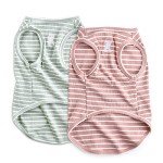 Funny Dog T-Shirt Set - Pink & Green Vests
