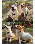Funny Dog T-Shirt Set - Pink & Green Vests